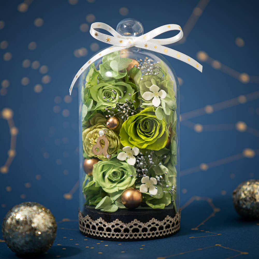 �G�g���[���h�[���`���q���`