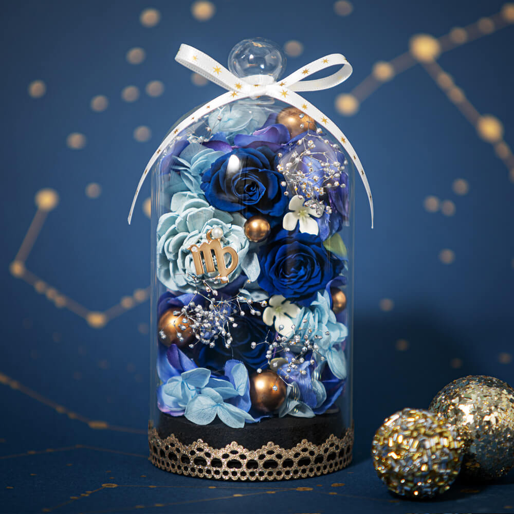 �G�g���[���h�[���`�������`