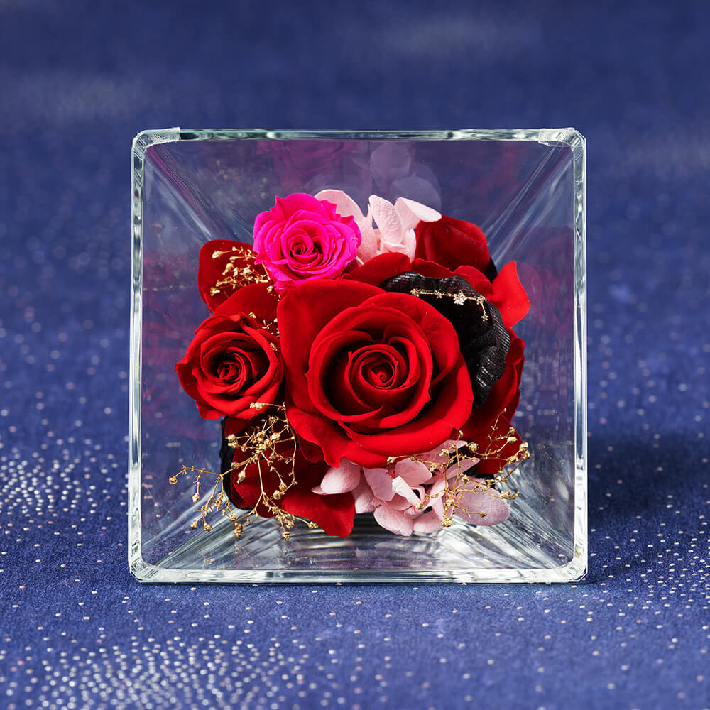 �R�t���E�h�E�X�e���`���r���`