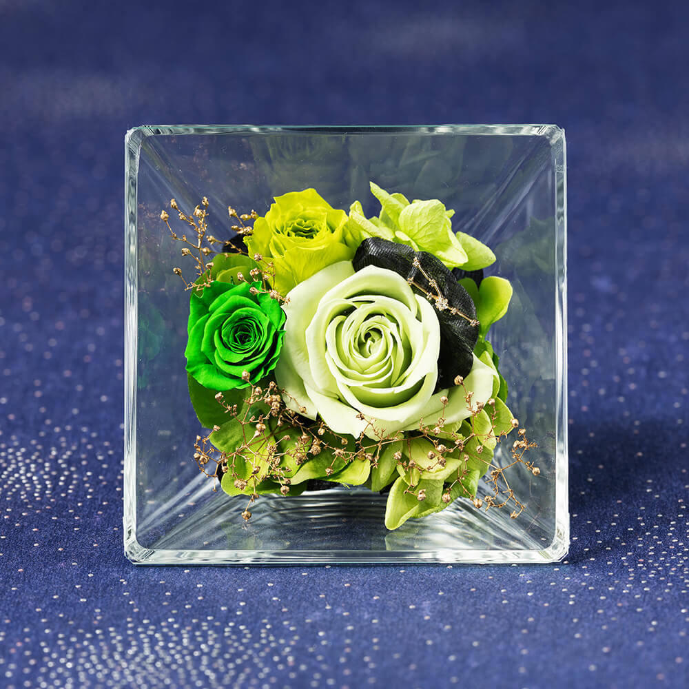 �R�t���E�h�E�X�e���`�������`