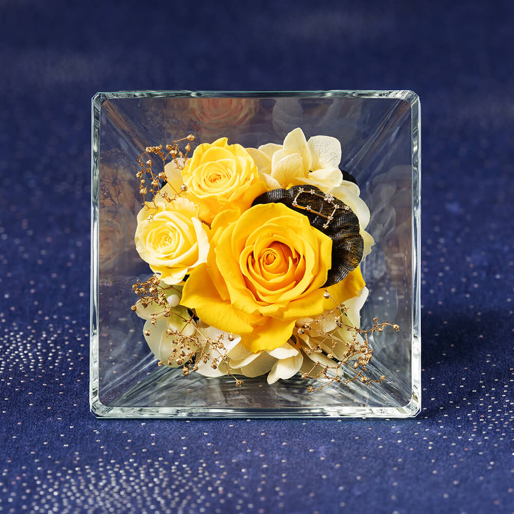 �R�t���E�h�E�X�e���`�o�q���`