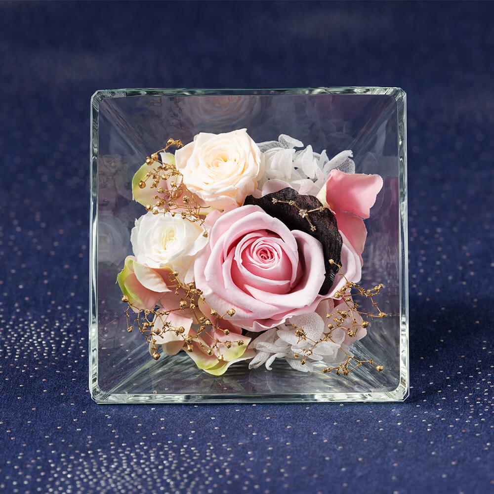 �R�t���E�h�E�X�e���`�I���`