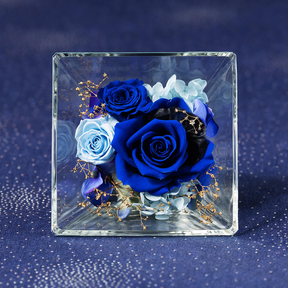 �R�t���E�h�E�X�e���`�������`