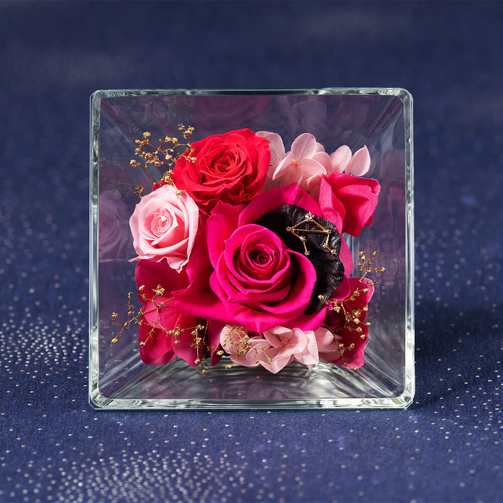 �R�t���E�h�E�X�e���`�V�����`