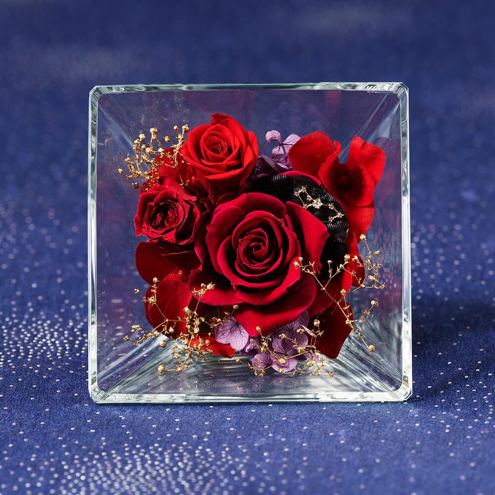 �R�t���E�h�E�X�e���`嶍��`