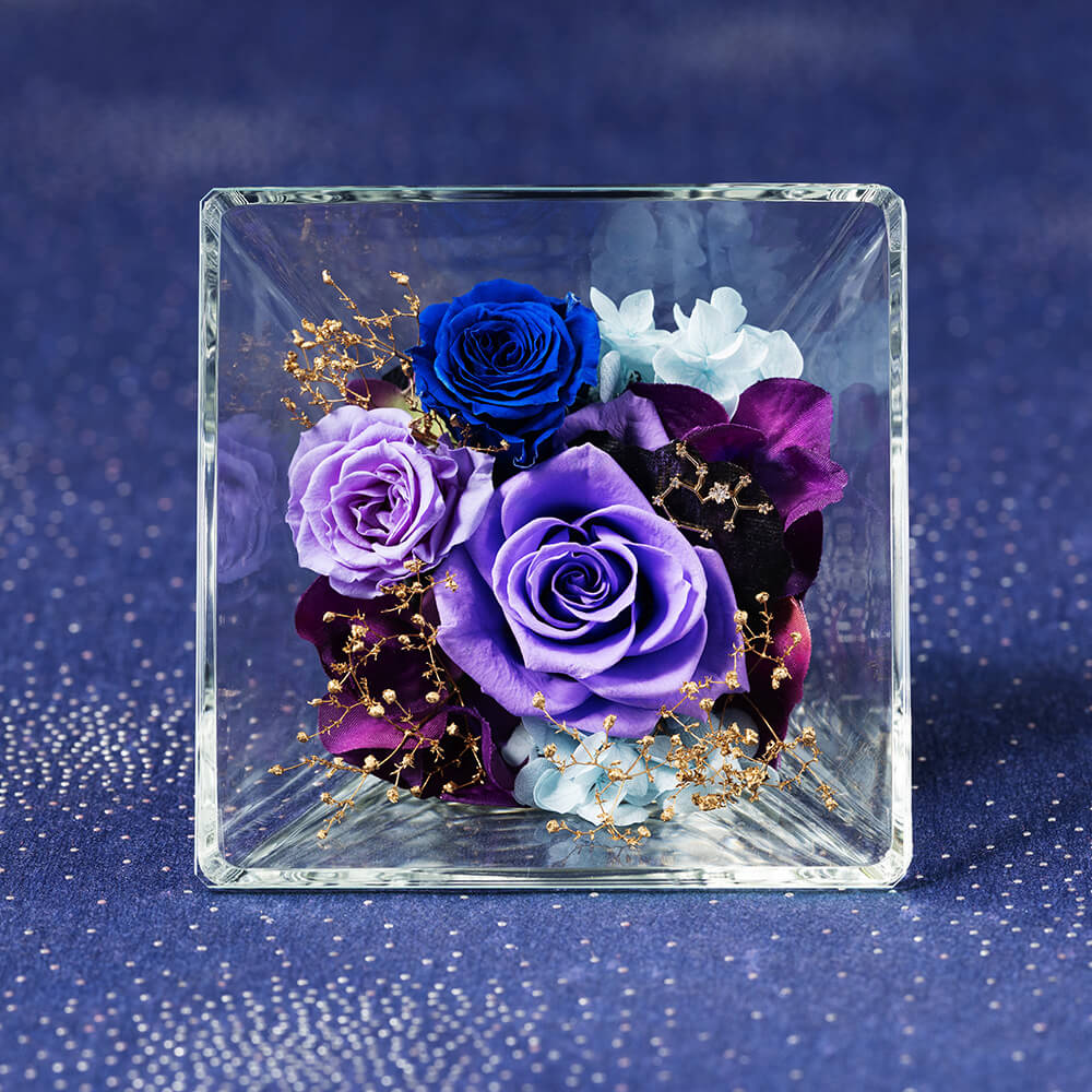 �R�t���E�h�E�X�e���`�ˎ���`