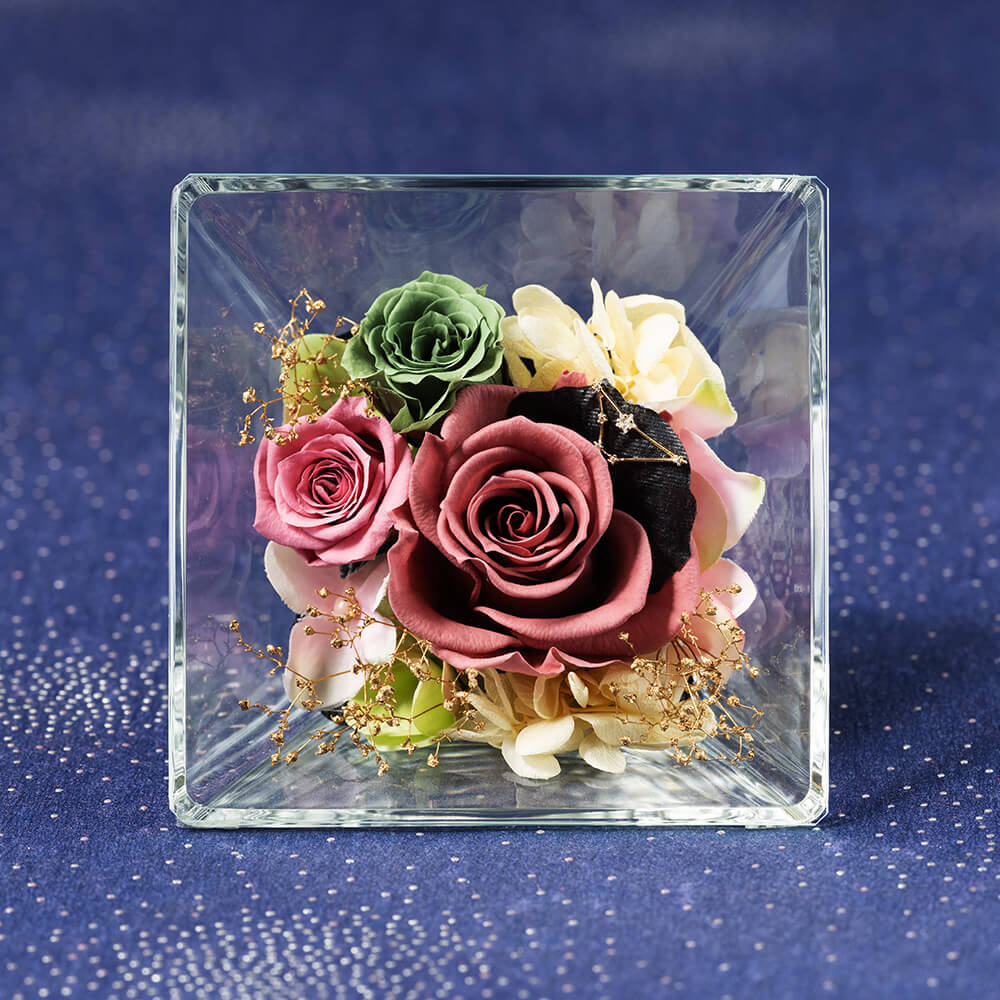 �R�t���E�h�E�X�e���`�R�r���`