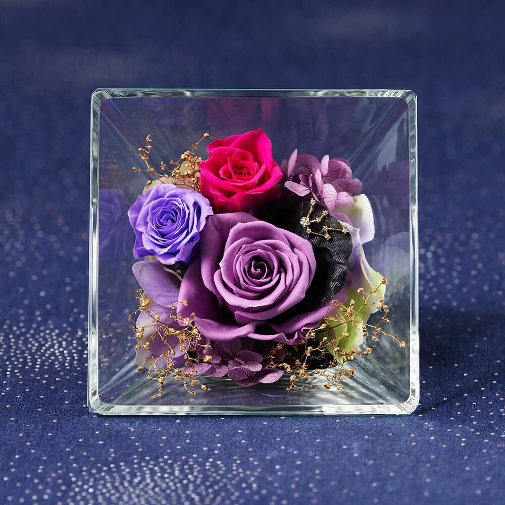 �R�t���E�h�E�X�e���`���r���`