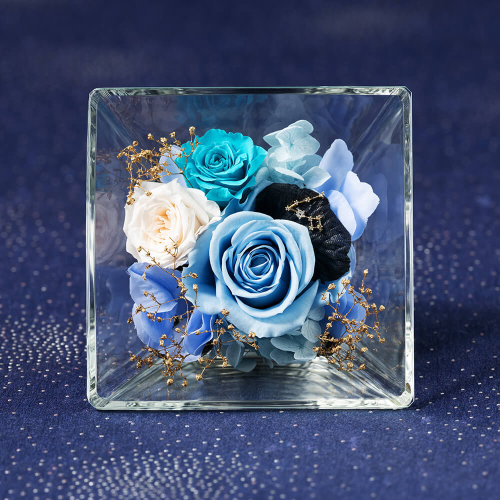 �R�t���E�h�E�X�e���`�����`