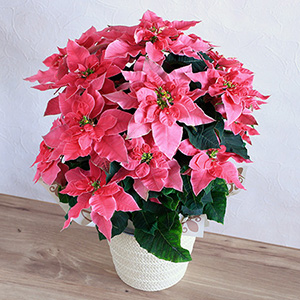 クリスマスミニツリー&リースセット特集2025】ギフトやご自宅用に