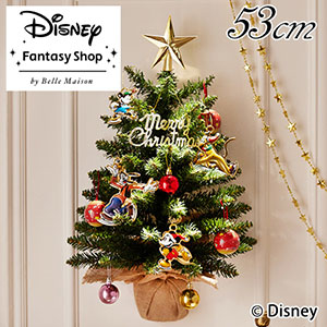 イマン、ダイアナローズ、バスケットローズ、クリスマスツリーとリースなど８点セット クリスマスツリー通販・ギフト｜お花のギフト専門イイハナ