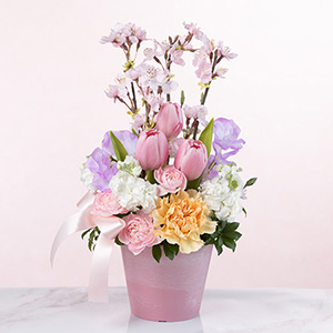 春の花　プリザーブドフラワーセット プリザーブドフラワー｜春の花ギフト・プレゼント特集2026｜イイハナ