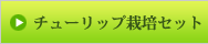 ԁEEF `[bv͔|Zbg