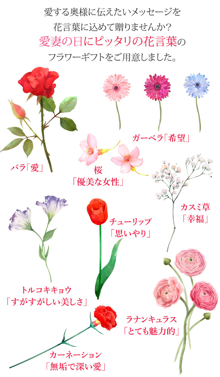愛妻の日に贈るフラワーギフト｜イイハナ