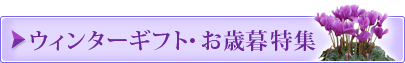 お歳暮・ウィンターギフト特集2017 受付期間:9/14(日)まで お届け期間:9/13(土)~9/15(月)