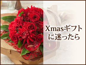 XmasMtgɖ