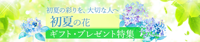 ẲԓW